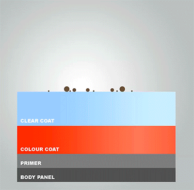Wash Car, sponge vs wash mitt