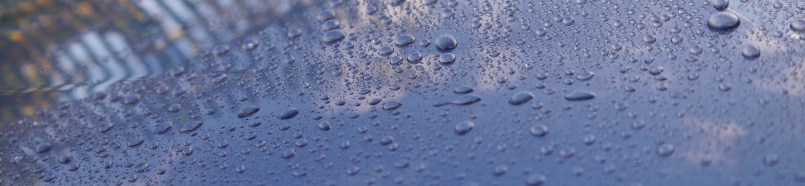 Sonax Polymer Netshield Beading, water beading