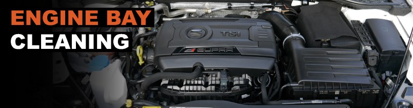 Engine Bay Cleaning